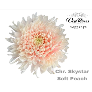 CHR G Paint SKYSTAR SOFT PEACH