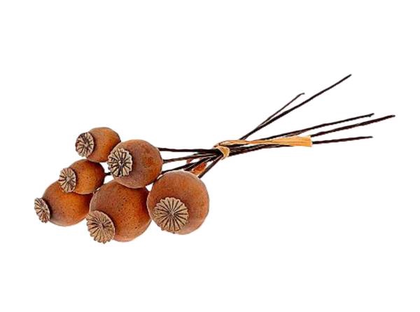 Bunch Poppy 6 Pcs L25