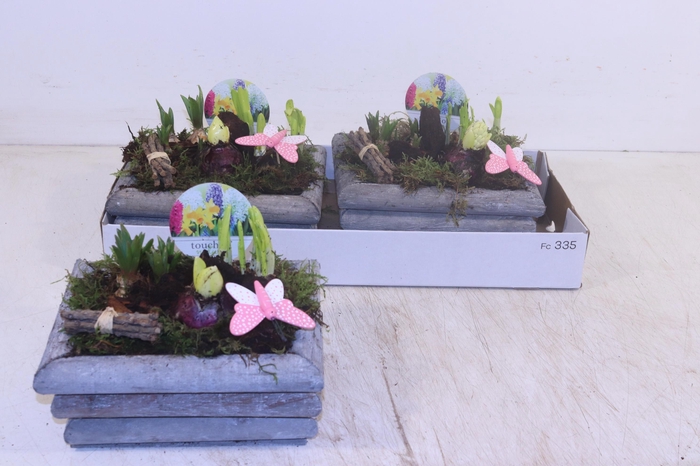 <h4>ARR BOL KNOLGEWAS</h4>