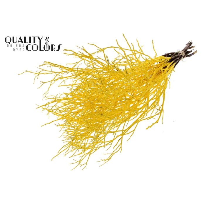 <h4>Huckelberry per bunch Yellow</h4>