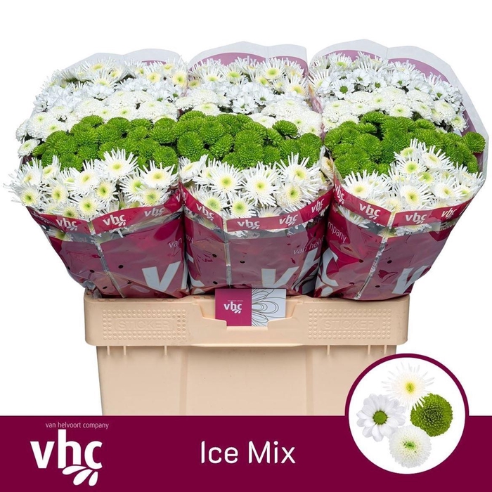 <h4>Chr S Ice Mix</h4>