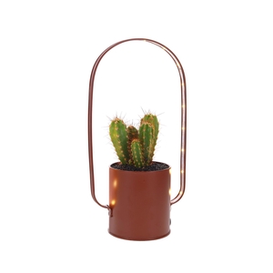 Led planter zink boog Cactus
