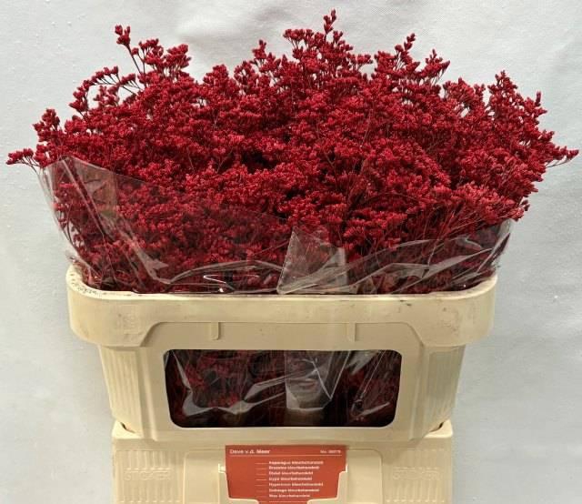 <h4>LIM OV KLB H%</h4>