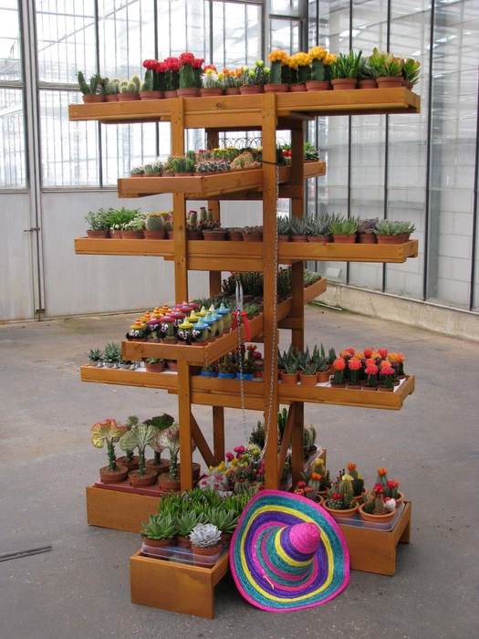 <h4>Eiland met 2 tangen</h4>