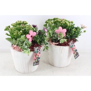 arr4 Outdoor MB - Hout pot white 483/3