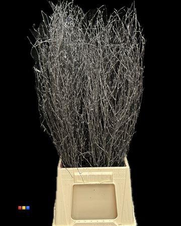 <h4>Betula / Berkentak Metallic Black</h4>