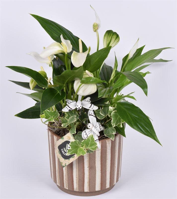 <h4>Keramiek safari look 14cm</h4>