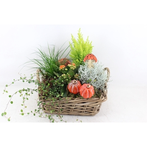 arr4 Outdoor VL - Kubu mand 4kant XL