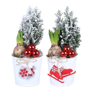 Christmas Arr. Outdoor Zinc pot X-mas White ø12cm with 2PP