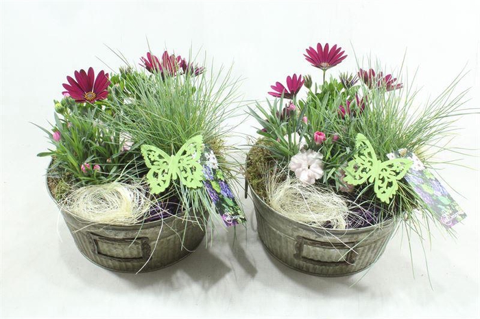 <h4>BU74 ZINK BAK BT X4</h4>