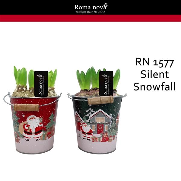 <h4>Arrangementen Hyacinthus 6%</h4>