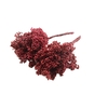 Pepperberry Bordeaux