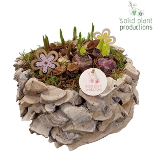 DRBM011WW Driftwood White Washed Round Bolmix