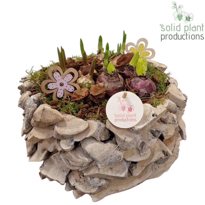 <h4>DRBM011WW Driftwood White Washed Round Bolmix</h4>