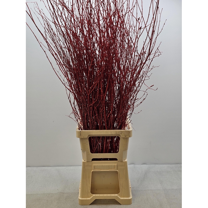 <h4>KERST BETULA PER TAK ROOD GLITTER</h4>