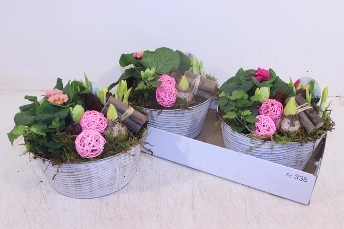 <h4>ARR TUINPLANTEN</h4>