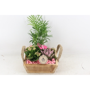 arr2 PL - Hout 4kant naturel - roze