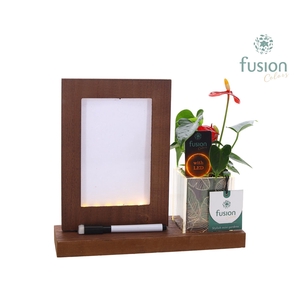 Acryl LED Glow Art Frame met Anthurium