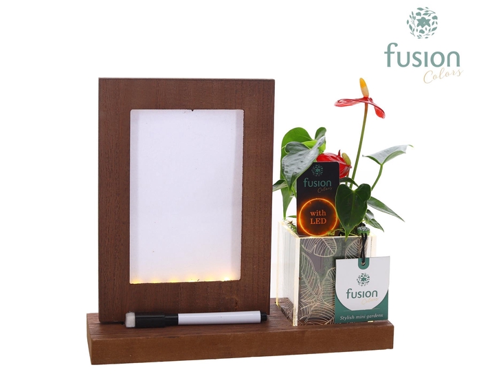 <h4>Acryl LED Glow Art Frame met Anthurium</h4>