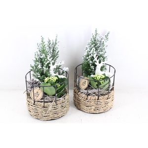 arr2 PL - Mand rond metaal frame wit