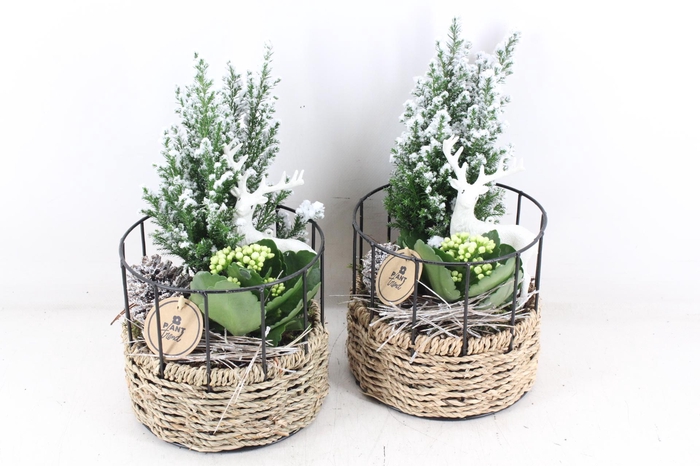 <h4>arr2 PL - Mand rond metaal frame wit</h4>