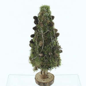 Moss Tree Larix 50cm