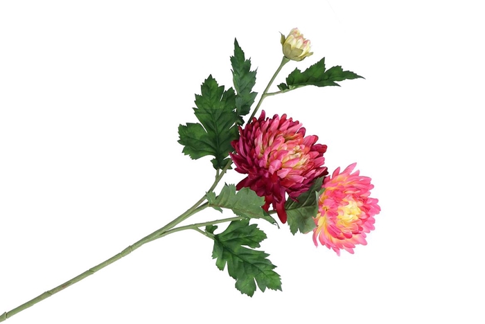 <h4>Silk Chrysant Fuchsia 71cm Nm</h4>