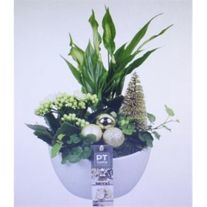 5623 KER WIT/GOUD ROND