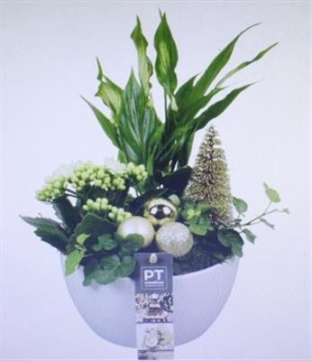 <h4>5623 KER WIT/GOUD ROND</h4>