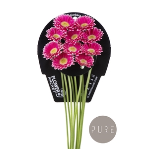 Ge Mi Twiggy flowerracket