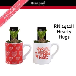 arr4 Hyacint RN - Hearth hugs mug