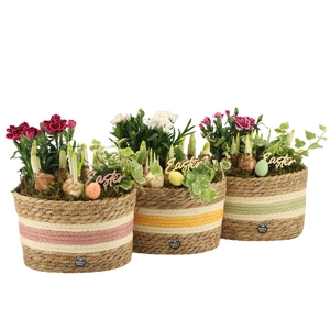 70915: Easter outdoor arrangement