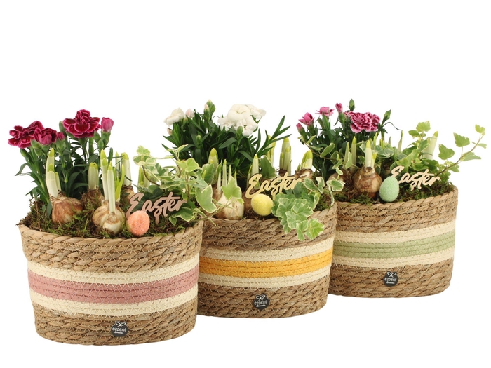 <h4>70915: Easter outdoor arrangement</h4>