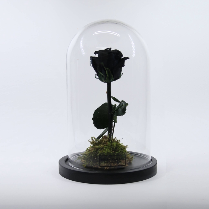 <h4>Stolp d12x20h zwart stand. glas</h4>