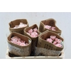 R Tr Pink Majolica (t)