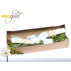 UG Barendse - Diamond River box