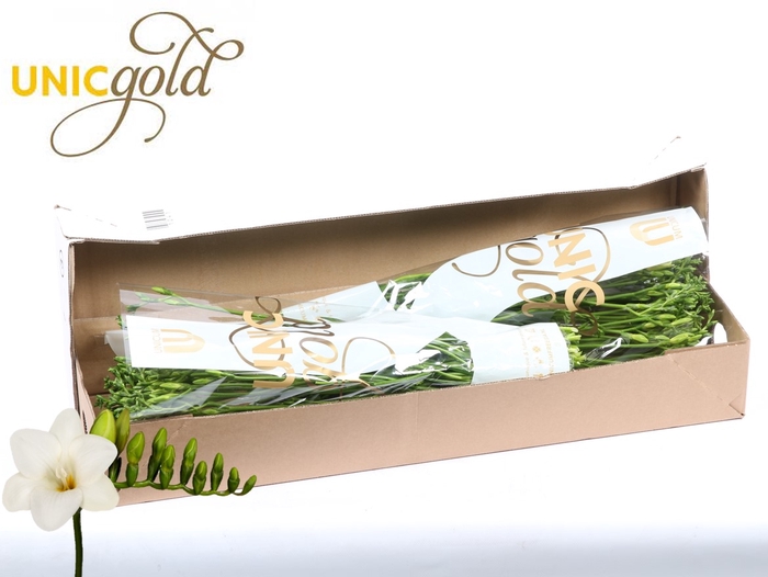 <h4>UG Barendse - Diamond River box</h4>