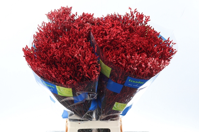 <h4>Lim S Painted Red</h4>