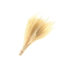 Soft Worms Grass White Bleached