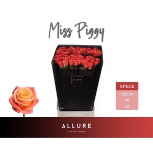 R GR MISS PIGGY+ ALLURE