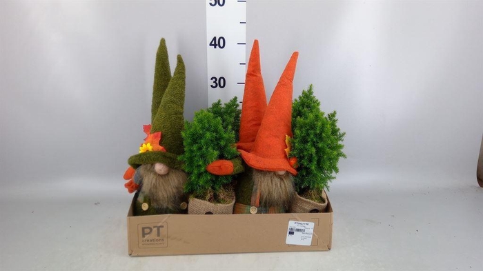 <h4>Arr.   Tuinplanten L%</h4>