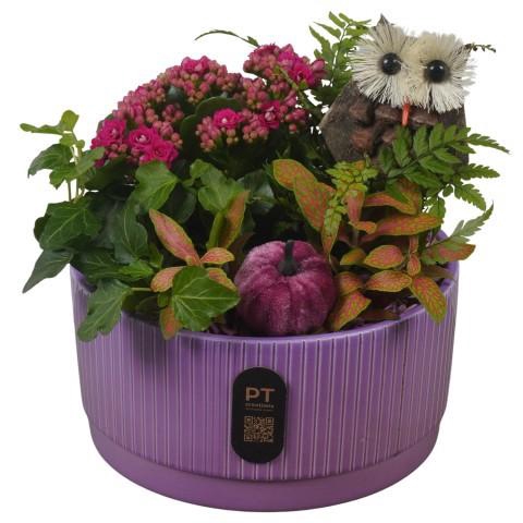 <h4>PTHI3214 Arrangement Autumn Indoor in keramiek schaal</h4>
