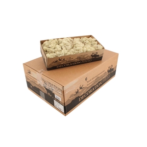 Reindeer Moss Natural