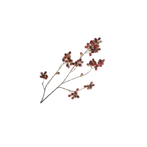 Blackberry Branch LV330154BUR