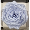 Ro Pres Xl Lavender