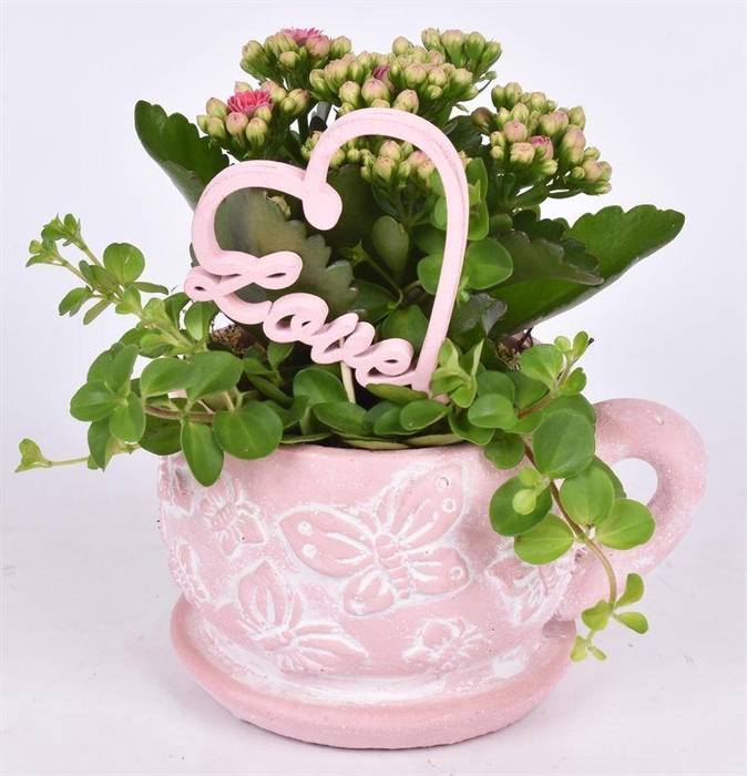 <h4>Cement vlinder k&s roze 10/14cm</h4>