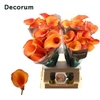 Calla 'Captain Odeon'