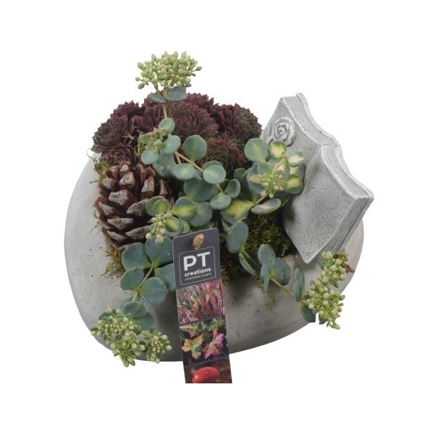 <h4>PTAH8606 Arrangement Allerheiligen in beton hart</h4>