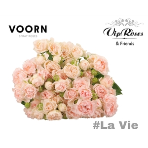 R TR H LA VIE
