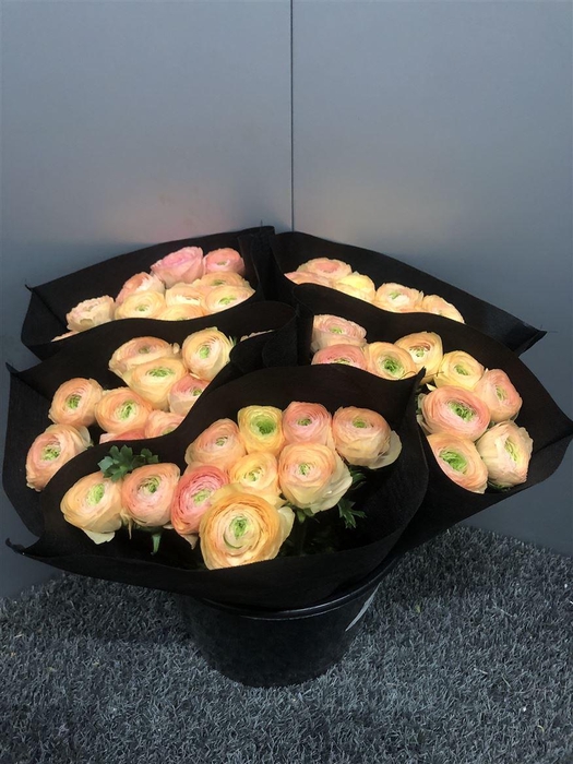 <h4>Ran Suc Tuareg Sup</h4>